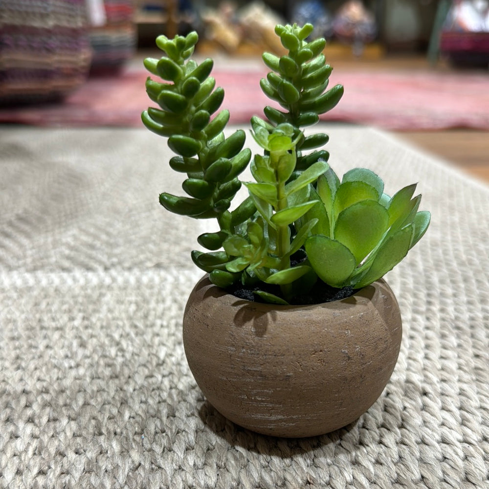 
                      
                        Mini Faux Succulent
                      
                    