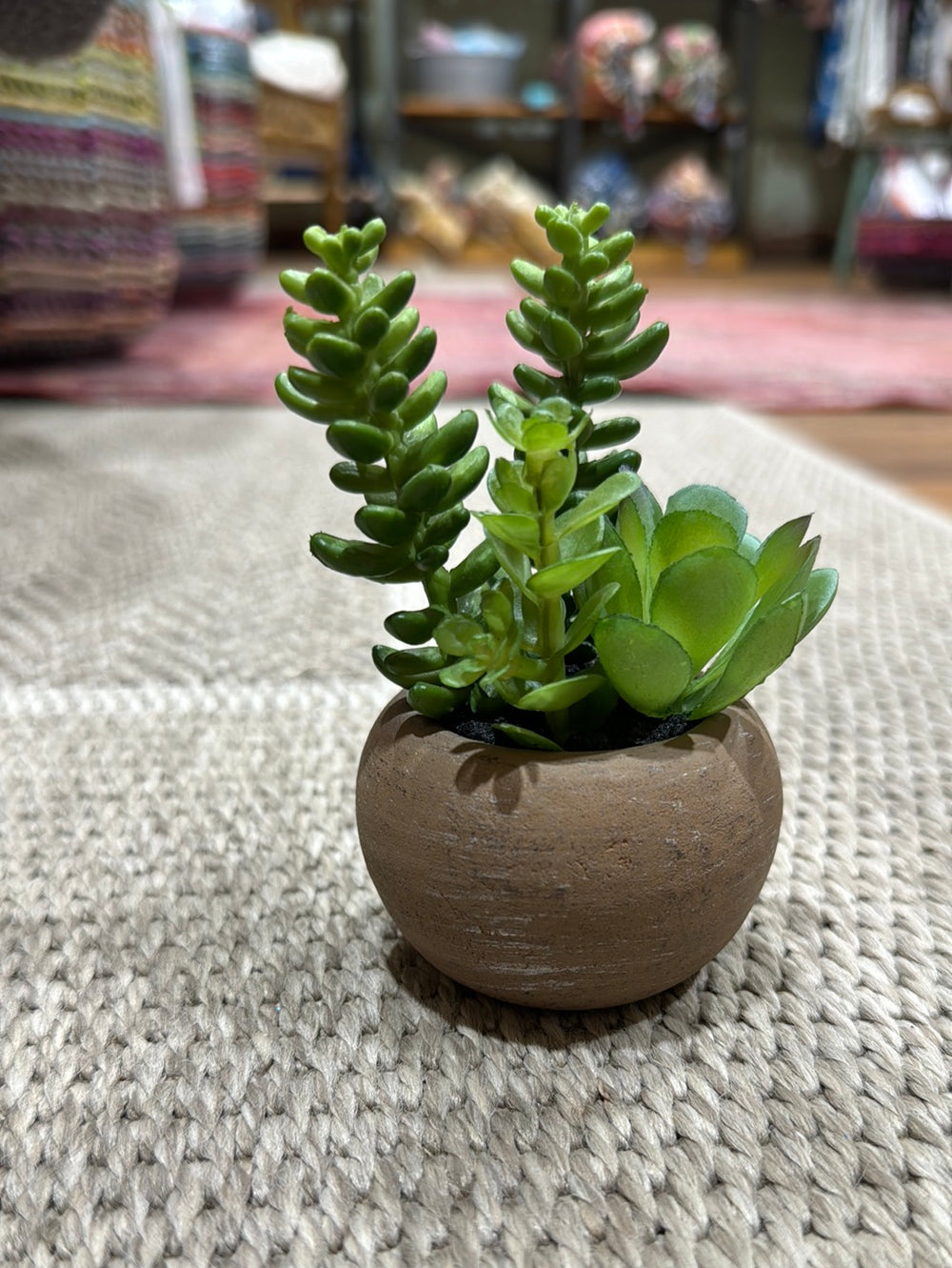 Mini Faux Succulent