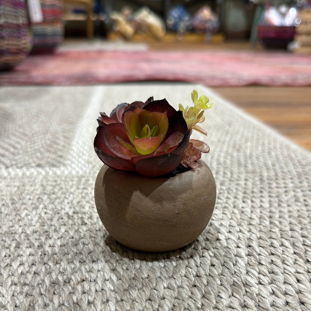 
                      
                        Mini Faux Succulent
                      
                    