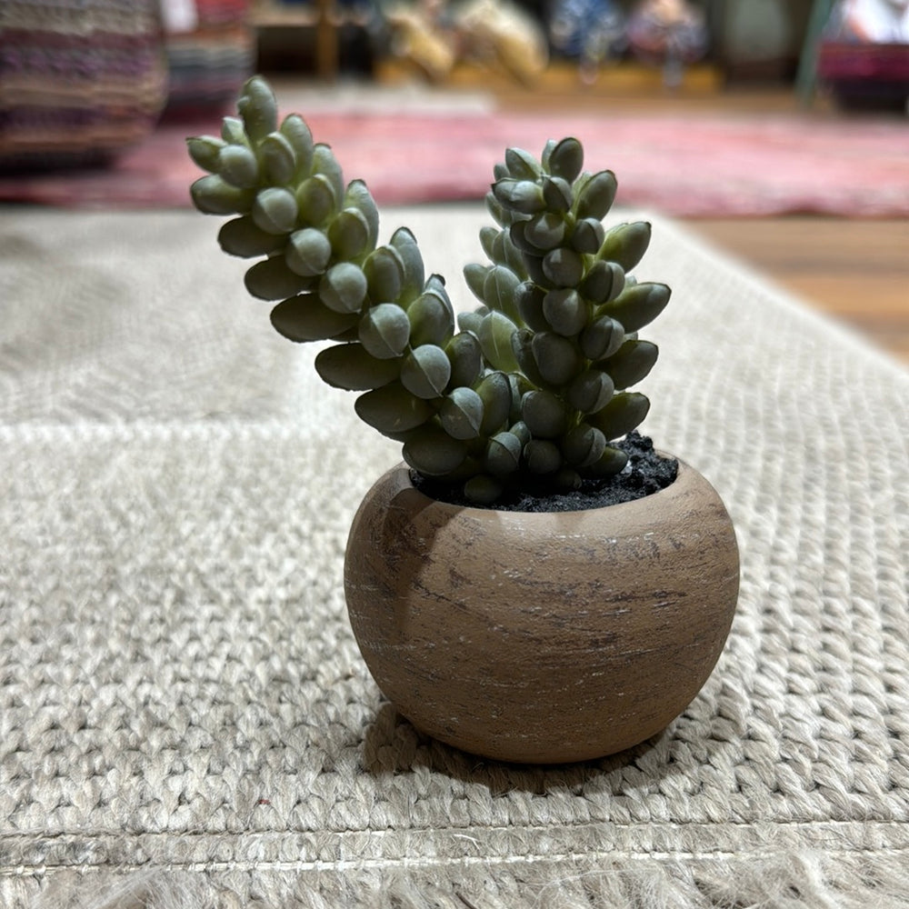 
                      
                        Mini Faux Succulent
                      
                    