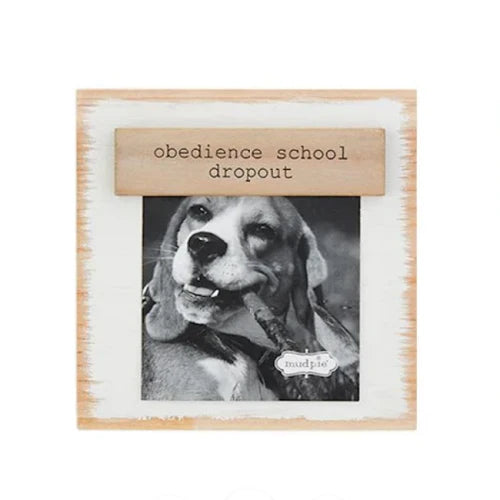 Obedience School Dropout Frame