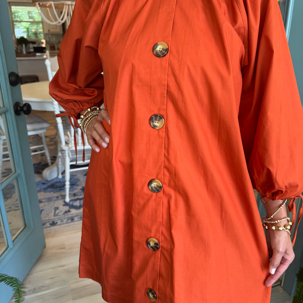 
                  
                    Pheebes Button Down Dress - Rust
                  
                