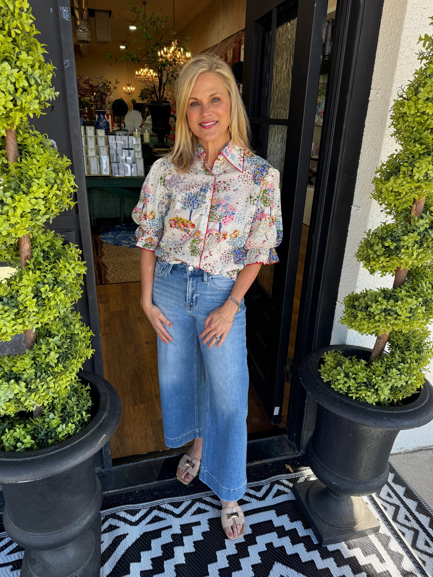 Ivy Jane Whimsical Top