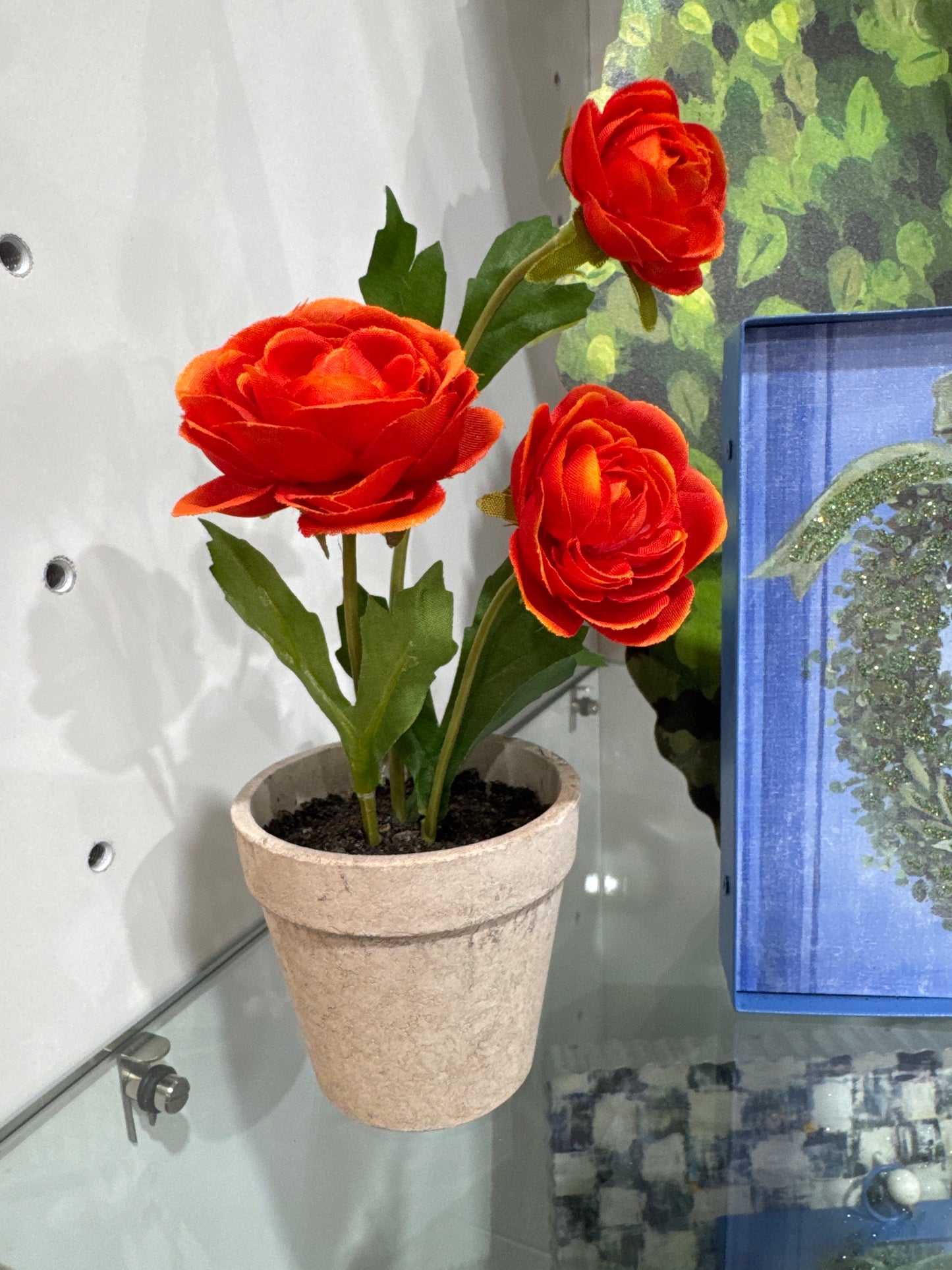 Ranunculus In Faux Cement Pot