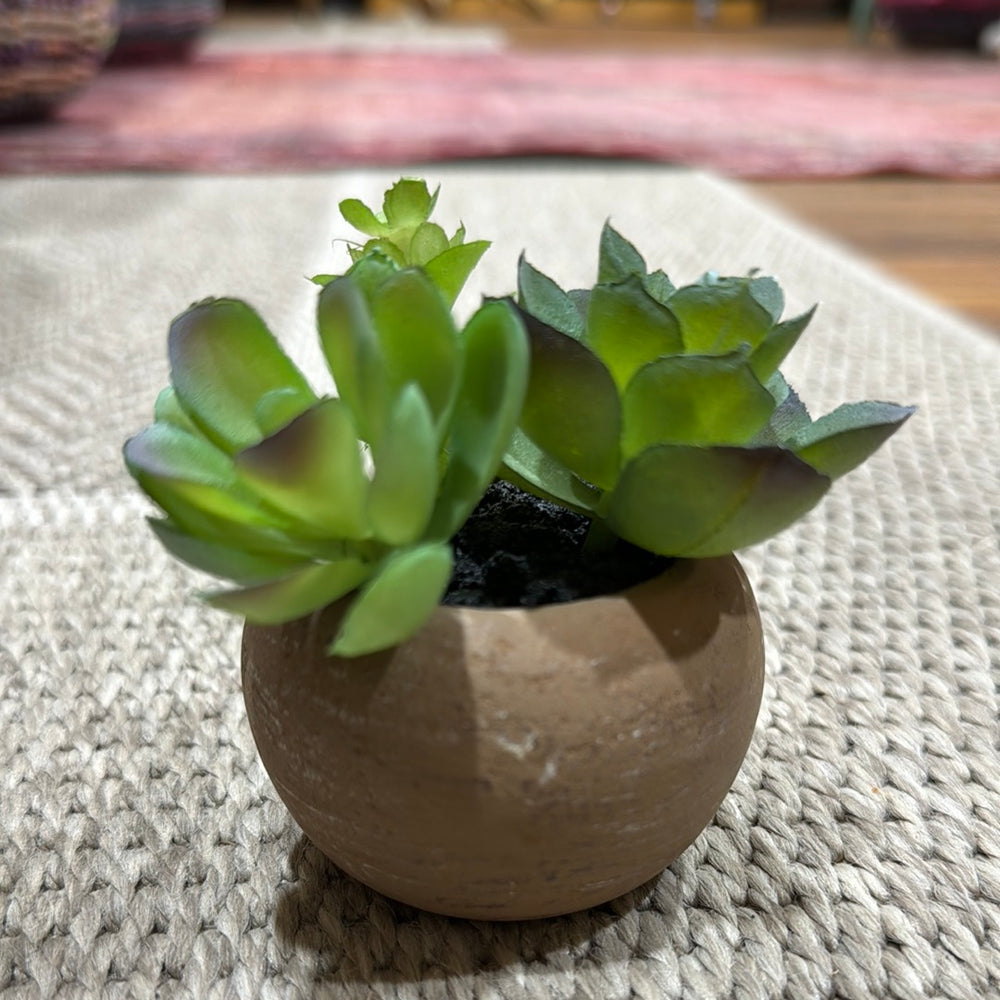 
                      
                        Mini Faux Succulent
                      
                    