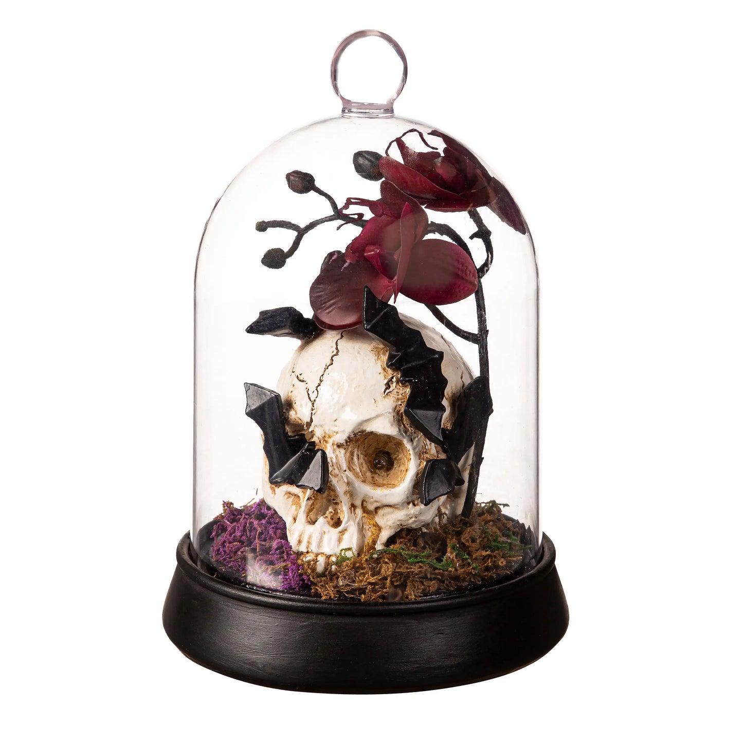 Skeleton Cloche With Orchids