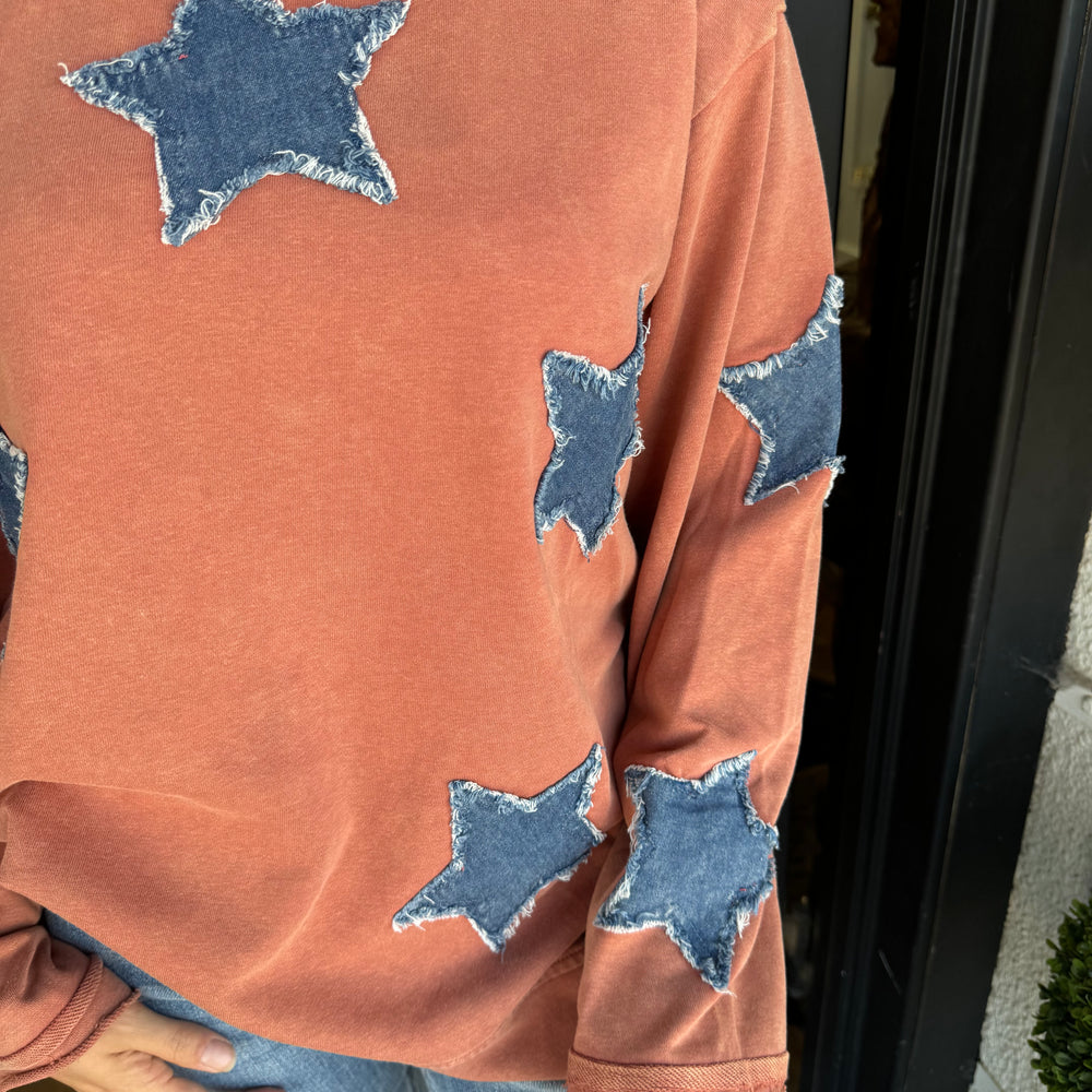 
                  
                    Stella Denim Star Rust Sweatshirt
                  
                