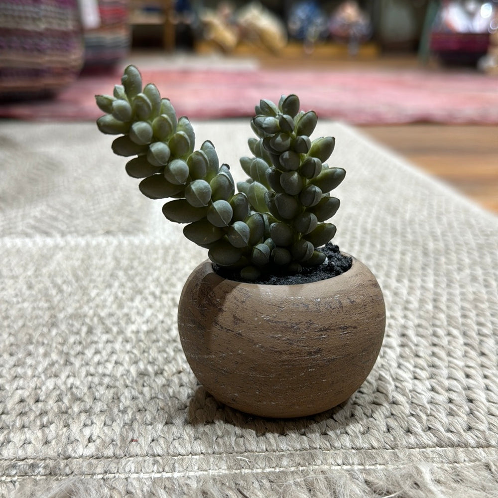 
                      
                        Mini Faux Succulent
                      
                    