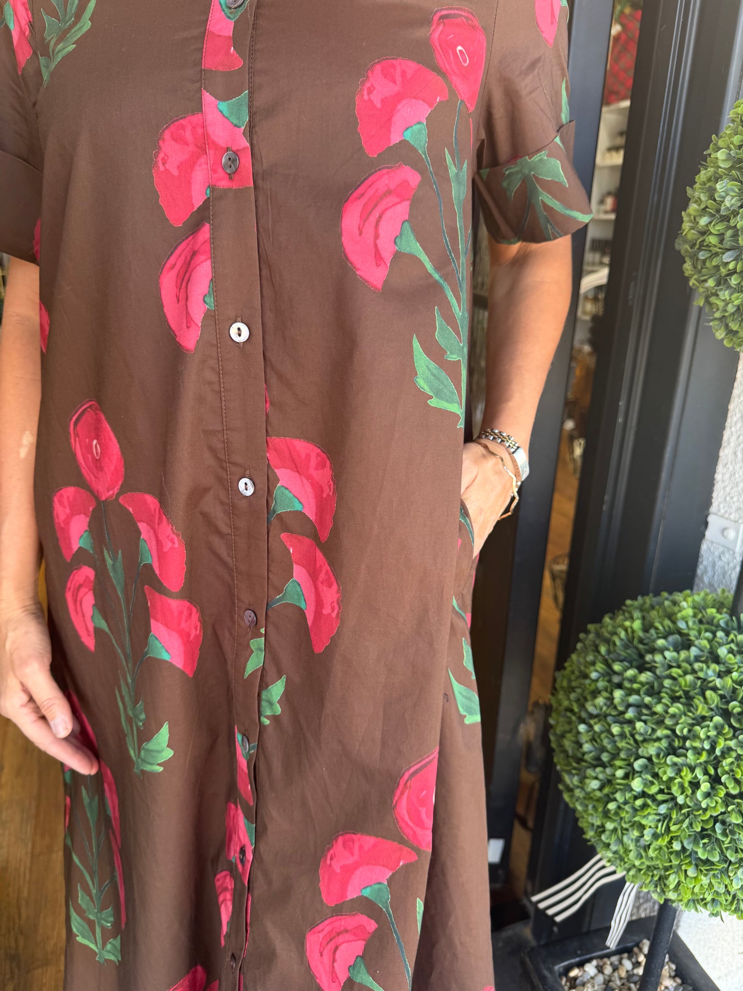 Chandee Dress - Brown