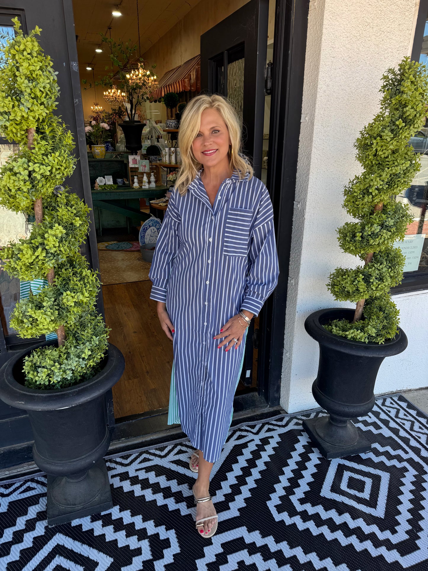 Caryn Lawn Libby Stripe Dress Navy