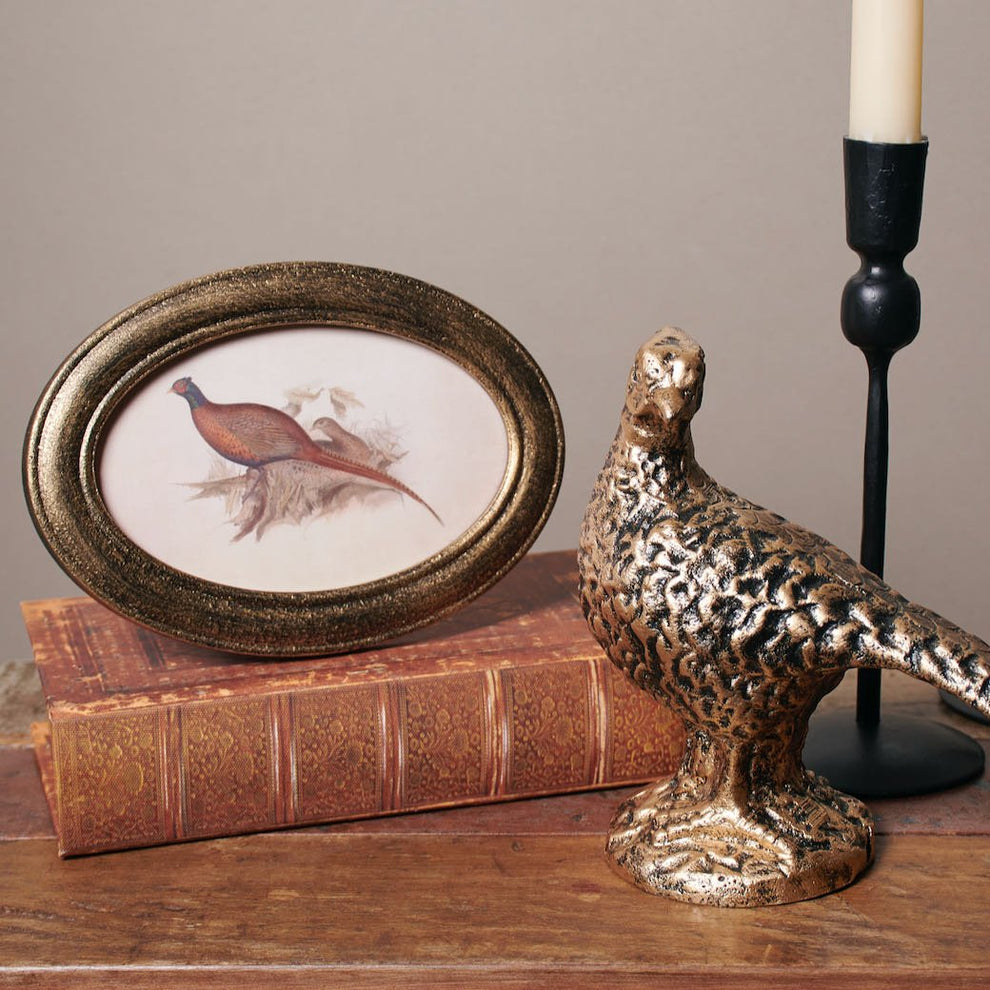 Pheasant-Framed Art