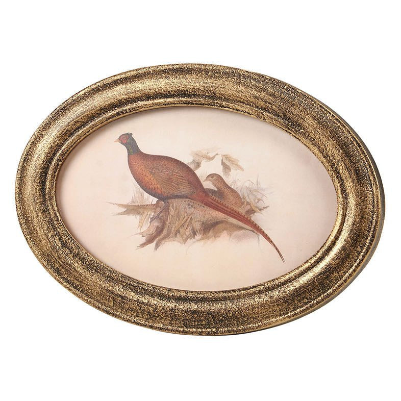 Pheasant-Framed Art