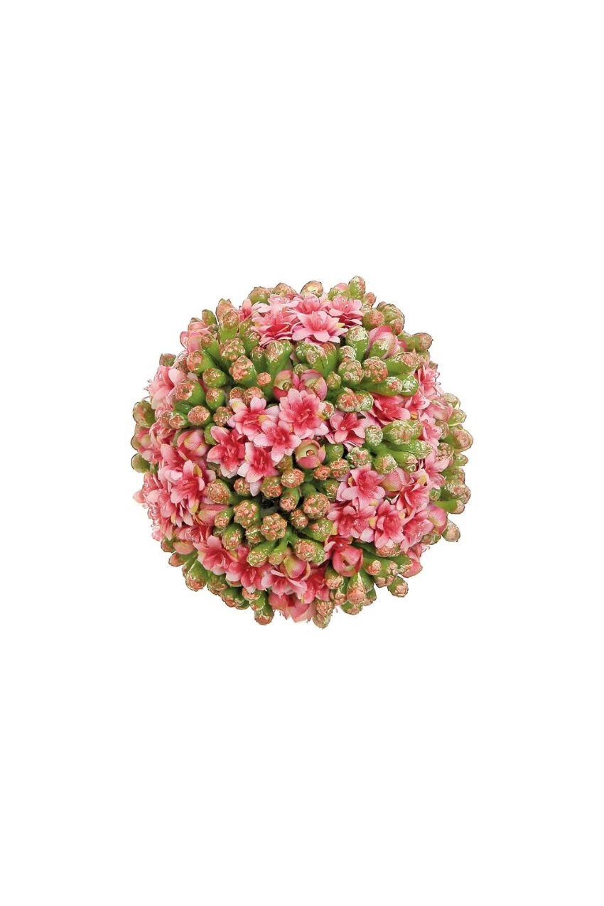 Kalanchoe Orb 4" - Pink/Green