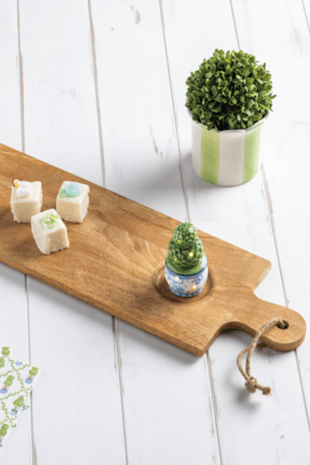 Plant Light-Up Sitter