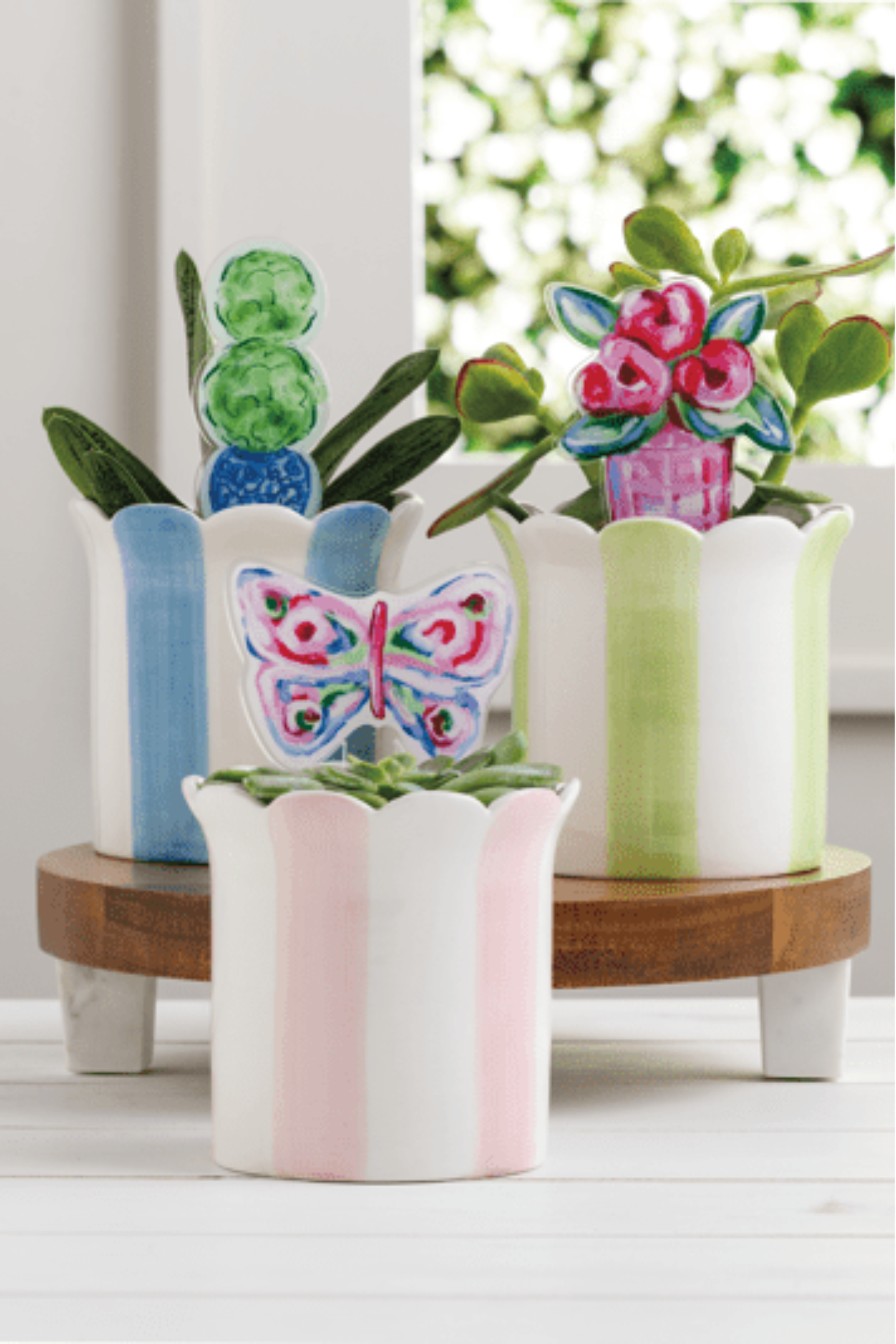 Flower Pot Striped Pot & Plant Stake Set