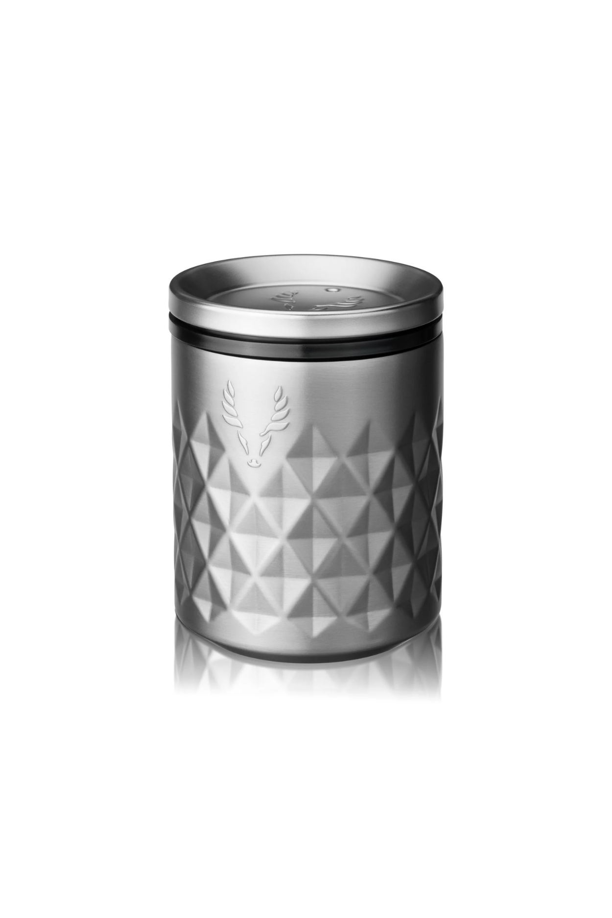 Paragon Silver Stainless Steel Rocks Tumbler