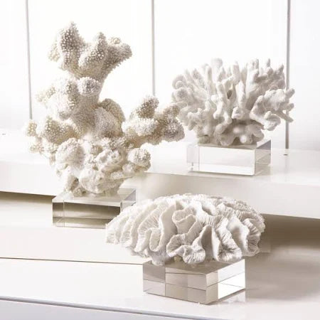 White Coral Sculpture on Glass Stand