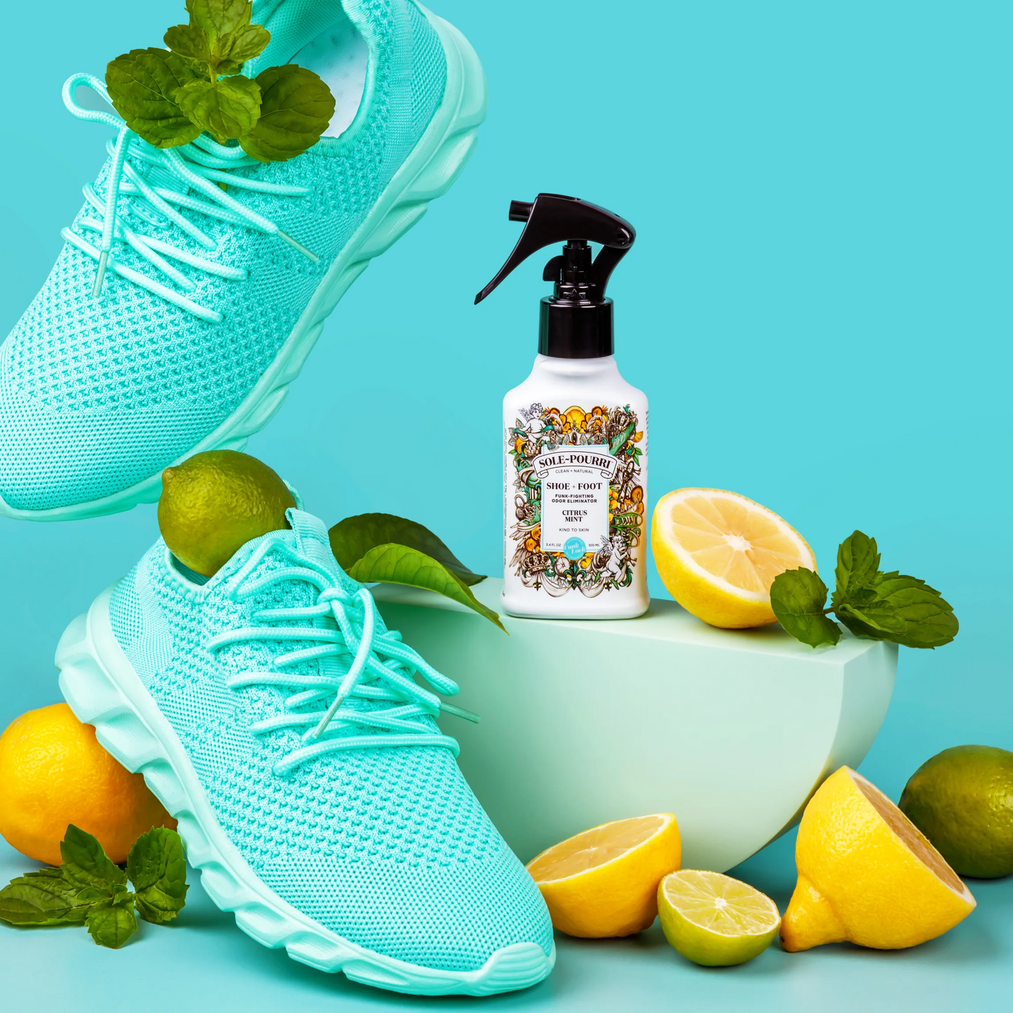 Sole~Pourri - Citrus Mint